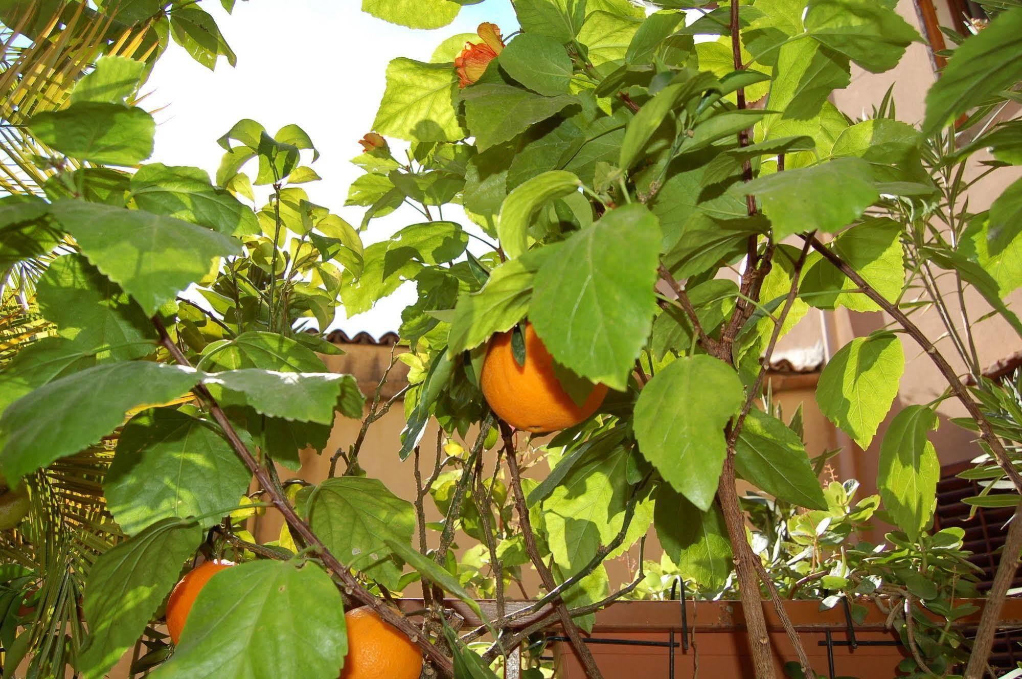 Al Vicoletto Apartman Agrigento Kültér fotó